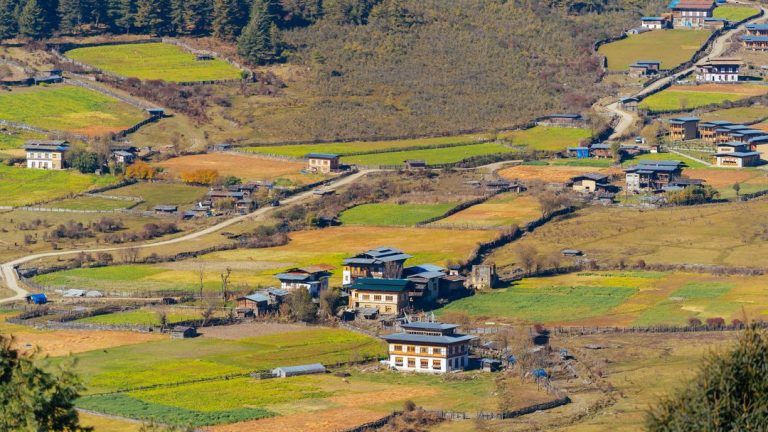 Phobjikha Valley Nature Tour
